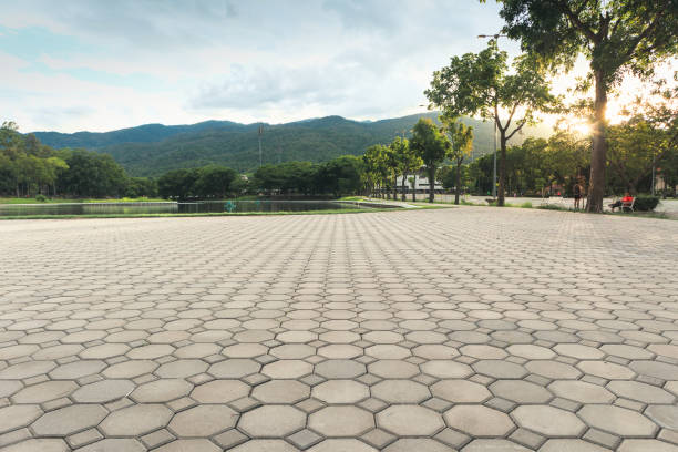 Best Interlocking Driveway Pavers  in Trinity, NC